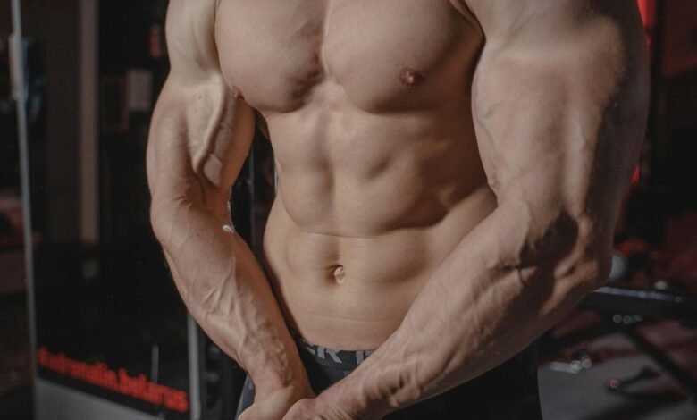 adit bsl flex model