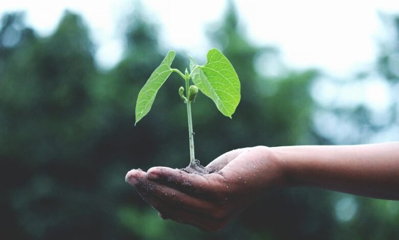 nip india grow initiative