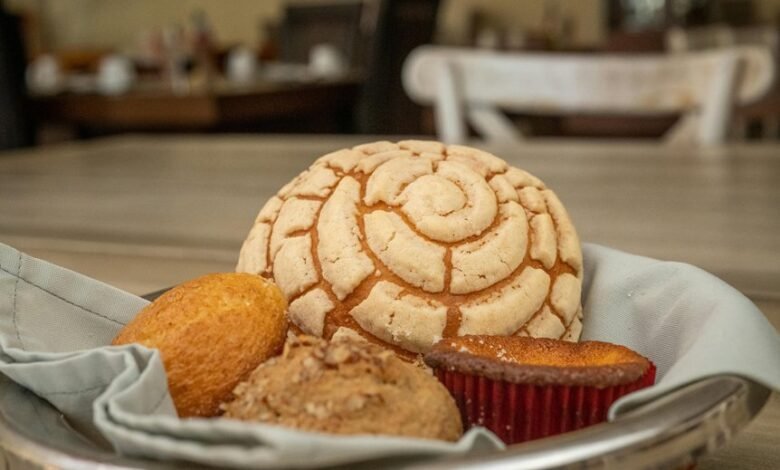 sbi magn midc nca2xd