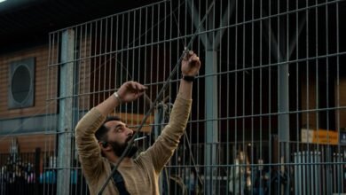 network compliance contact numbers