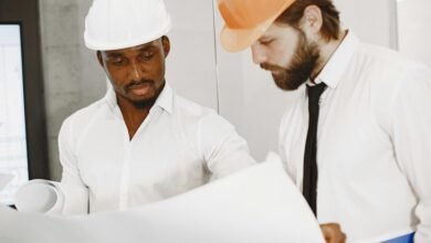 industry development insights analysis